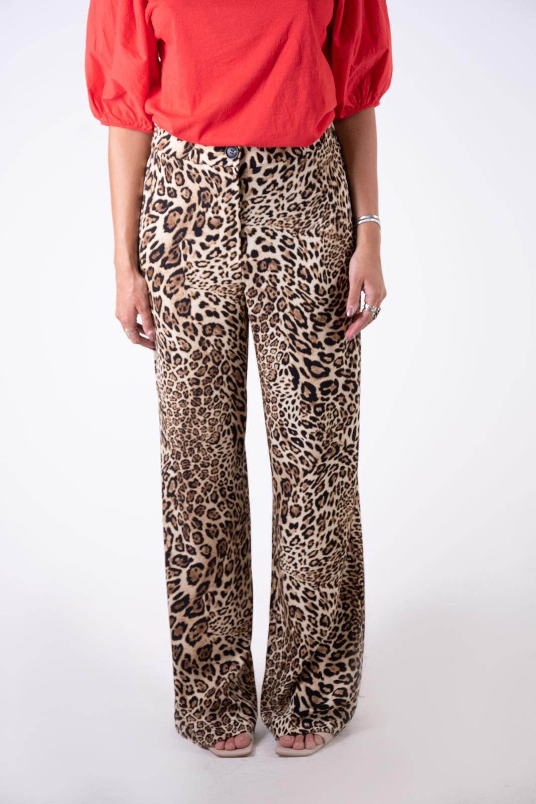 Susy Mix Pantalone animalier 600258GT 01 Susy Mix 