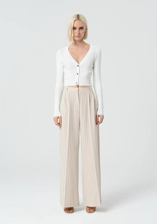 Fracomina Pantalone palazzo gessato FR25SV3002W761D4 108 Fracomina Preview 